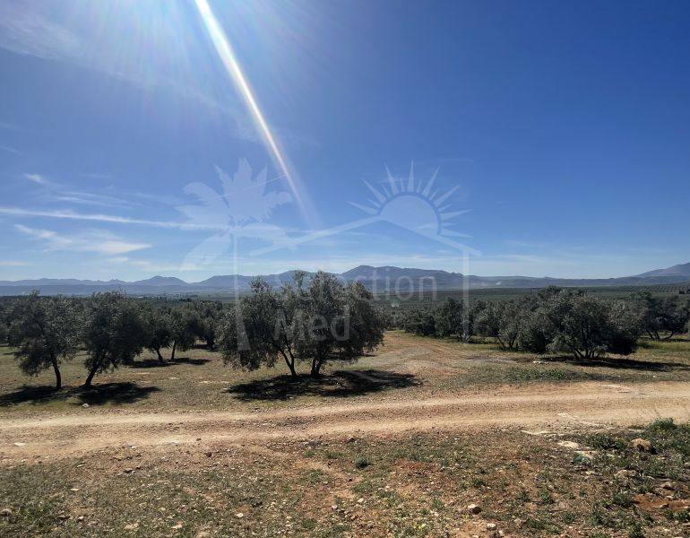Plot for sale with lovely views in Mollina