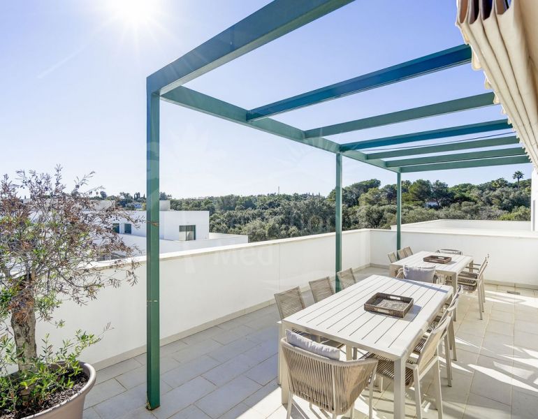 Large south-facing penthouse apartment