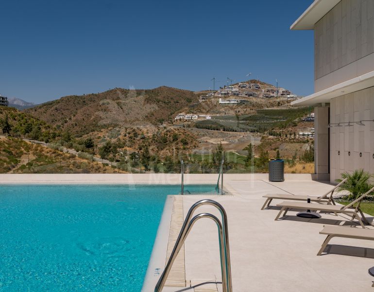 Palmitos – Real de La Quinta Resort Living