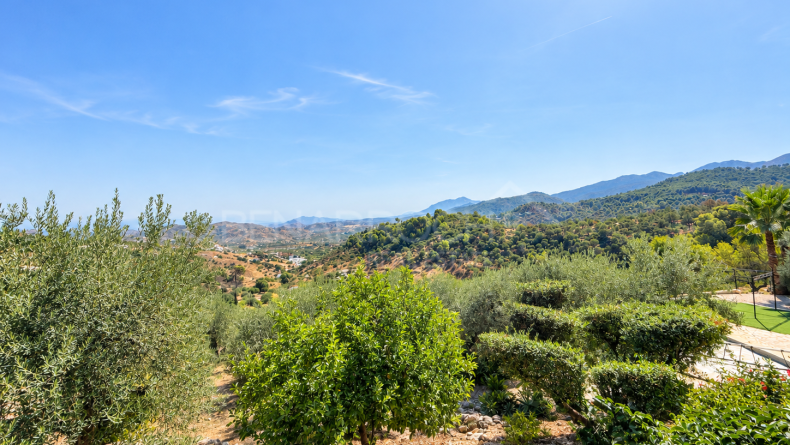 Galería de fotos - Casa de campo con vistas panorámicas en Monda
