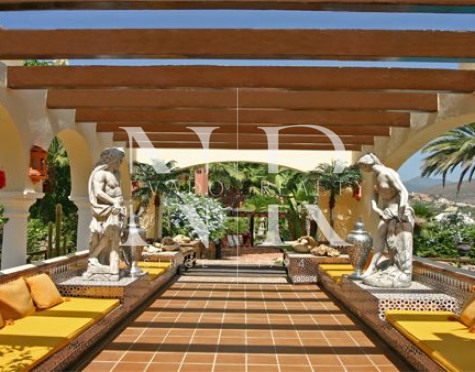 Villa in Nueva Andalucia for rent