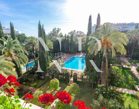 Apartment in Don Gonzalo for rent