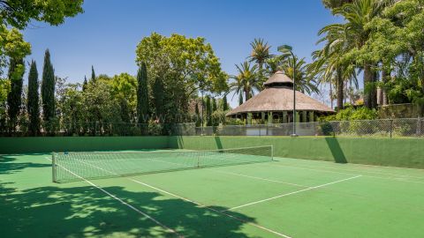 Property Image 37