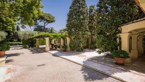 Property Image 36