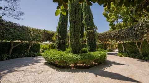 Property Image 40