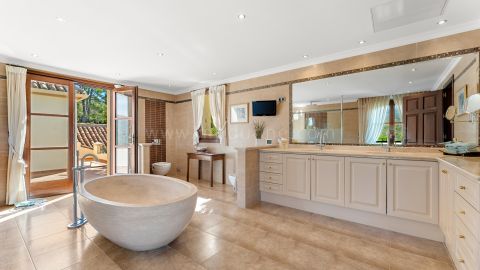 Property Image 41