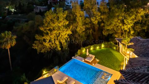 Property Image 41