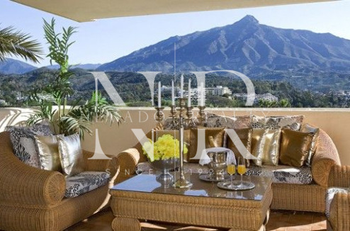 Villa in Nueva Andalucia for rent