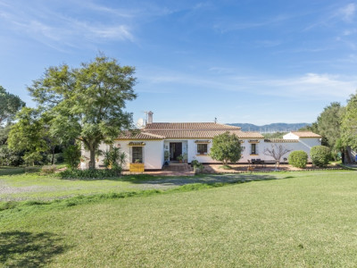 San Roque Finca for Sale San Roque Finca for Sale
