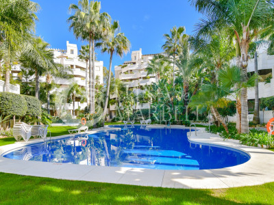 Apartamento en alquiler en Nueva Andalucia