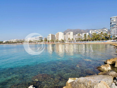 Local Comercial en venta en Marbella