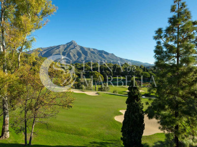 Villa for sale in Nueva Andalucia