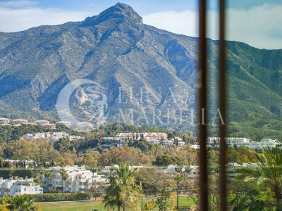 Villa for sale in Nueva Andalucia
