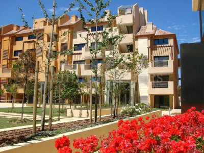 Development in Sotogrande Puerto Deportivo, Sotogrande