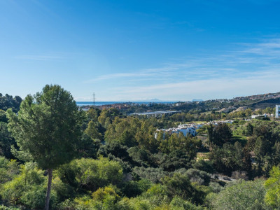 Wohnung zum Verkauf in Puerto del Almendro, Benahavis