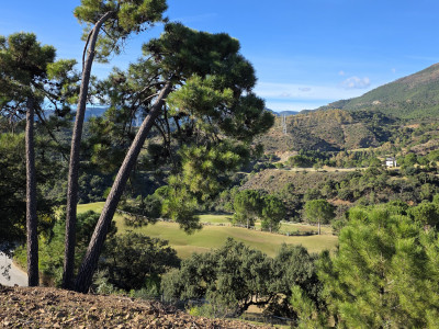 Plot for sale in La Zagaleta, Benahavis