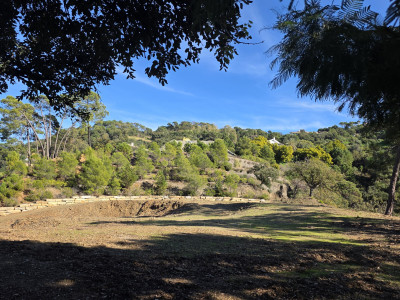 Plot for sale in La Zagaleta, Benahavis