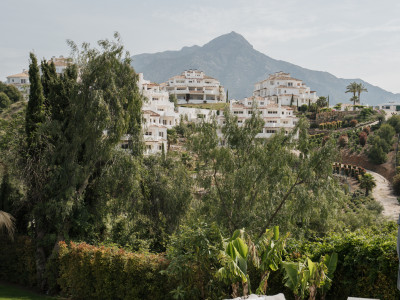 Villa en venta en Nueva Andalucia