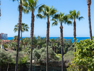 Maison Jumelée à vendre à Marbella Est