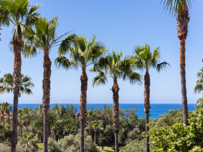 Maison Jumelée à vendre à Marbella Est
