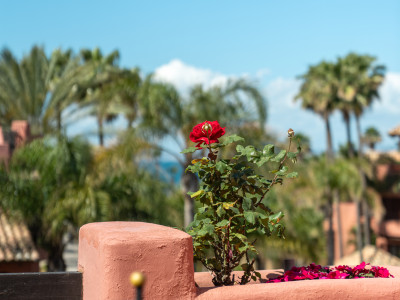 Duplex Penthouse for sale in Estepona