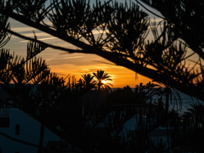 Пентхаус дуплекс в продаже в Castiglione, Сан Педро де Алькантара