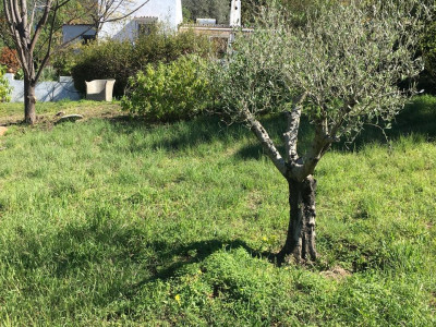 Вилла в продаже в El Padron, Эстепона