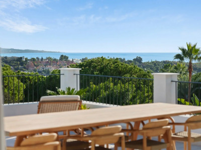 Villa à vendre à Nueva Andalucia