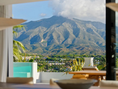 Villa à vendre à Nueva Andalucia