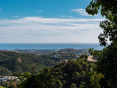 Villa à vendre à El Madroñal, Benahavis