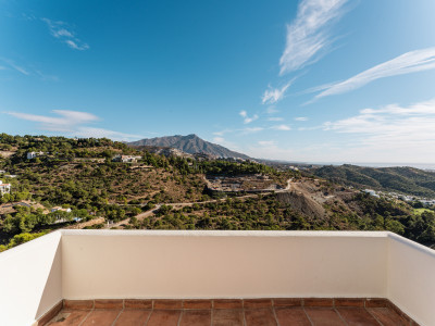 Villa à vendre à El Madroñal, Benahavis
