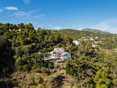Villa à vendre à El Madroñal, Benahavis