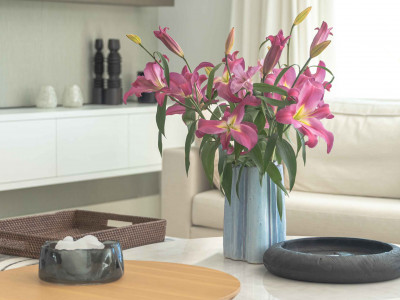 Villa zum Verkauf in Nueva Alcantara, San Pedro de Alcantara