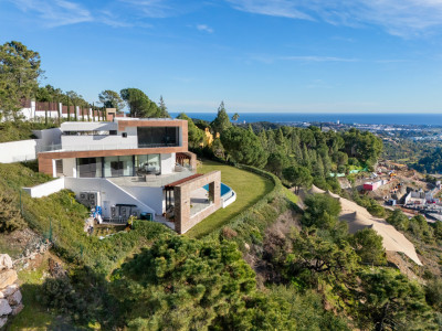Villa à vendre à El Madroñal, Benahavis