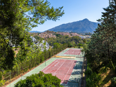 Apartamento Planta Baja en venta en Nueva Andalucia