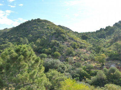 Parcela en venta en Monte Mayor, Benahavis