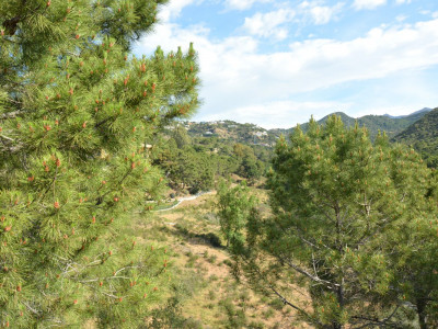 Parcela en venta en Monte Mayor, Benahavis