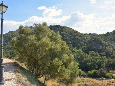 Parcela en venta en Monte Mayor, Benahavis