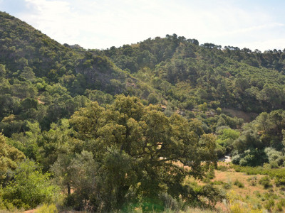 Parcela en venta en Monte Mayor, Benahavis