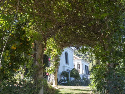 Villa en venta en El Madroñal, Benahavis