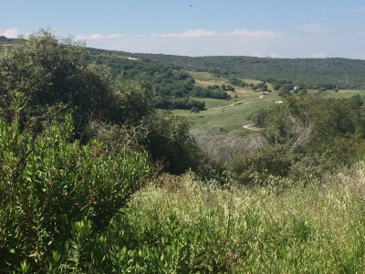 Terrain à vendre à Sotogrande Alto, Sotogrande