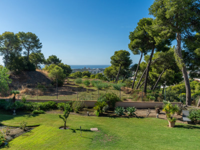 Appartement à vendre à Aloha Park, Nueva Andalucia