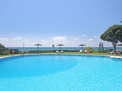 Estepona, Estepona