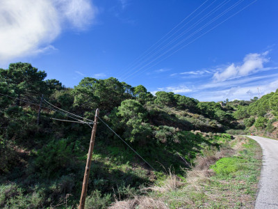 Finca en venta en Los Reales - Sierra Estepona, Estepona