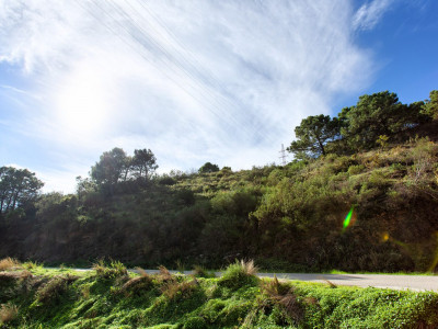 Finca en venta en Los Reales - Sierra Estepona, Estepona