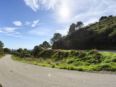 Finca en venta en Los Reales - Sierra Estepona, Estepona