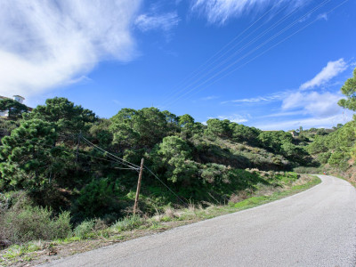 Finca en venta en Los Reales - Sierra Estepona, Estepona