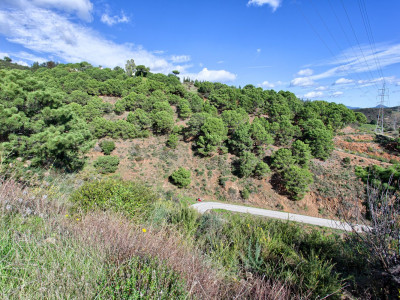 Finca en venta en Los Reales - Sierra Estepona, Estepona