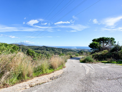 Finca en venta en Los Reales - Sierra Estepona, Estepona