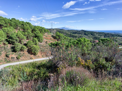 Finca en venta en Los Reales - Sierra Estepona, Estepona